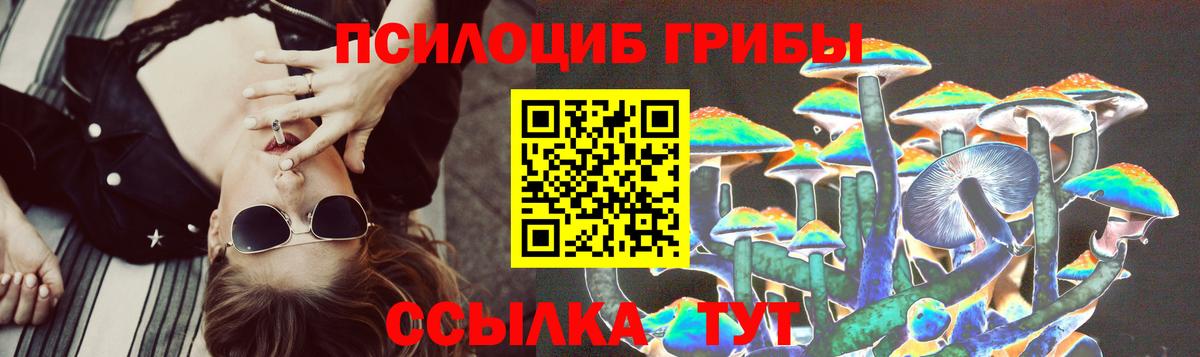 Псилоцибиновые грибы GOLDEN TEACHER Свободный