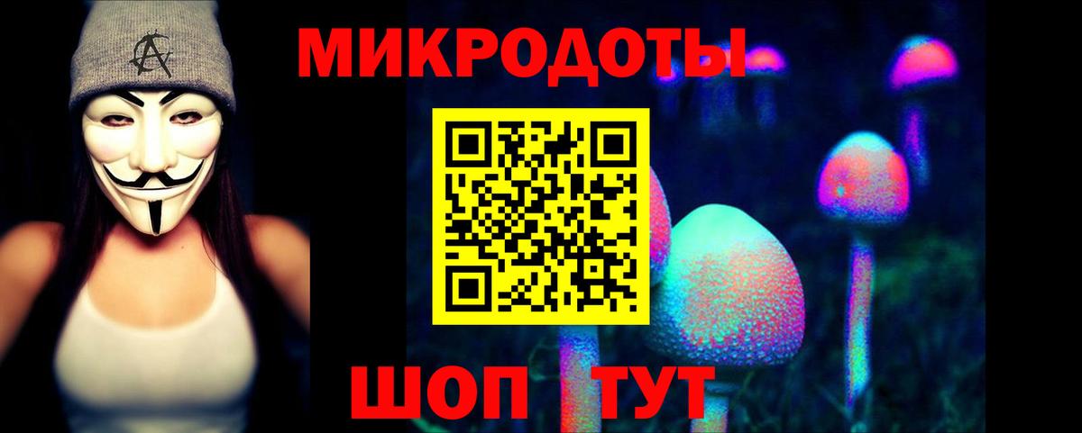 Галлюциногенные грибы мицелий  Псилоцибиновые грибы мицелий  даркнет сайт  Свободный  Вход с VPN 